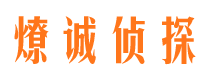 河东市调查公司